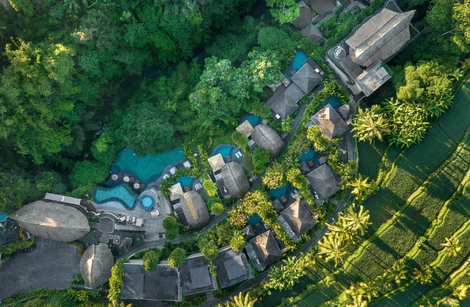 Luxury Villa Accommodation